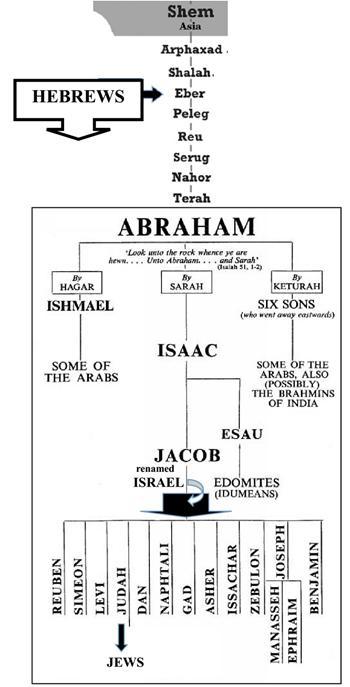 Common, but erroneous chart showing Jews are descended from Judah.