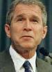 War crimes committed by George Bush, Jr.—Iraq War, 2003