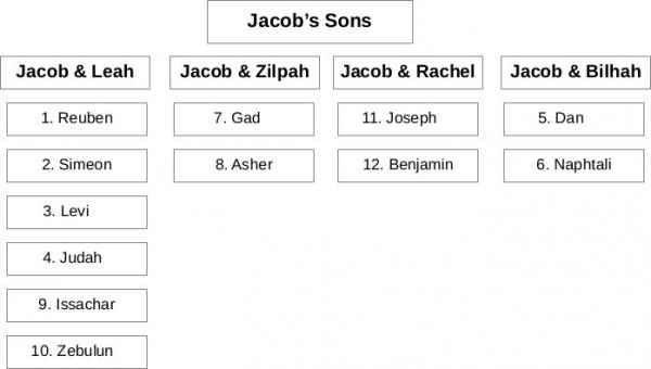 The lineage of Jacob's sons.  Numbers indicate the order of their birth.