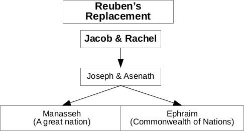 Reuben forfeited his birthright (1 Chronicles 5:2) and it was transferred to Joseph and his 2 sons  