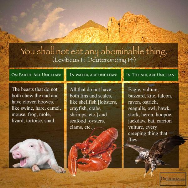 Chart showing the unclean animals that God said were an abomination to Him if we ate these unclean animals.