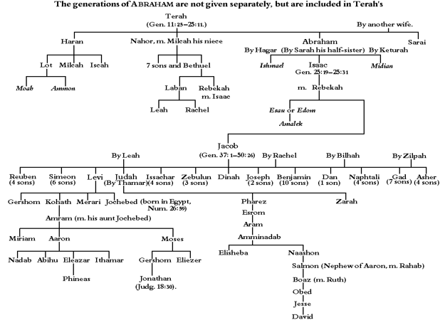 Family Tree of Terah to David