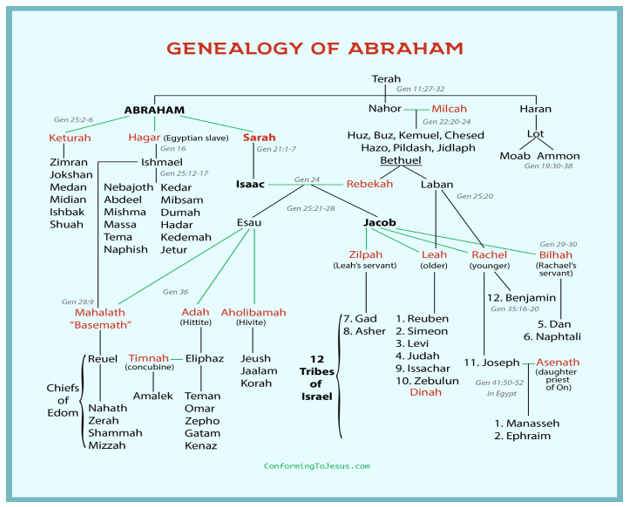 Genealogy of Abraham