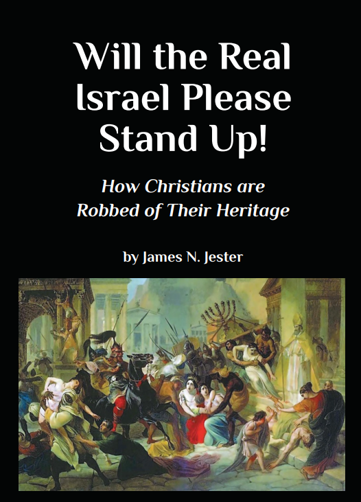 Will the Real Israel Please Stand Up Book Cover