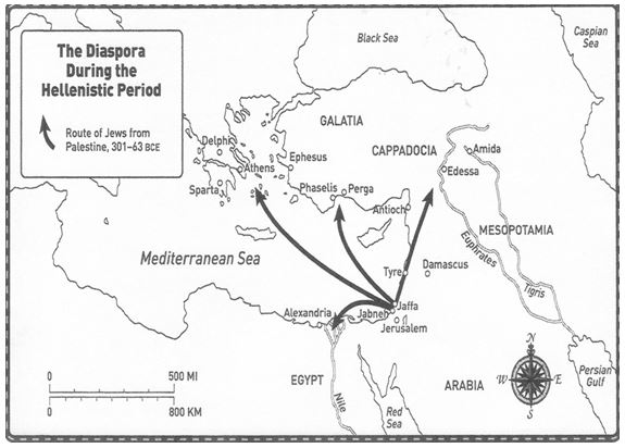 Hittites/Kenites/Canaanites/Edomites were race mixed with other non-Adamic nations. They are known today as being Jews. 