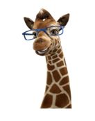 Junior the Giraffe