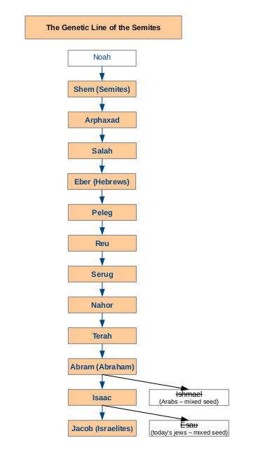 According to a study of Bible genealogy, Semites are not jews or Arabs