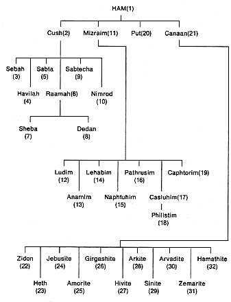 The Amorites were descendants from one of the sons of Canaan, whose father was Ham, whose grandfather was Noah as recorded in Genesis 10.