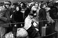 Terrified and homeless Germans flee their Allied executioners.