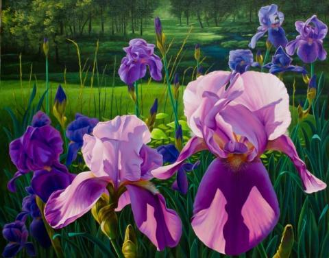 Iris Glee Club, original oil painting by Mark Downey