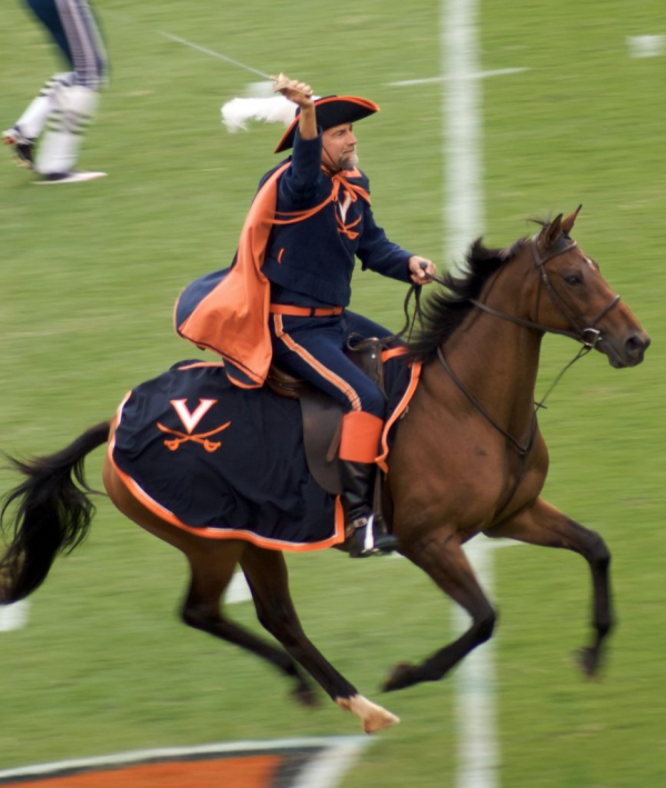 The mascot of the University of Virginia. The historical basis for the identification of Virginia with the Cavaliers is that Virginia became a royal colony in 1624, as a subject to King James I authority. 